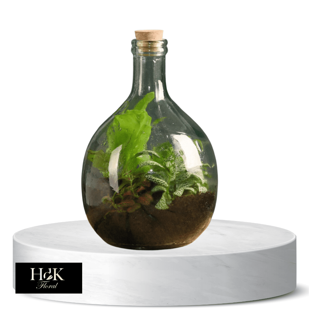 Bottled Terrarium