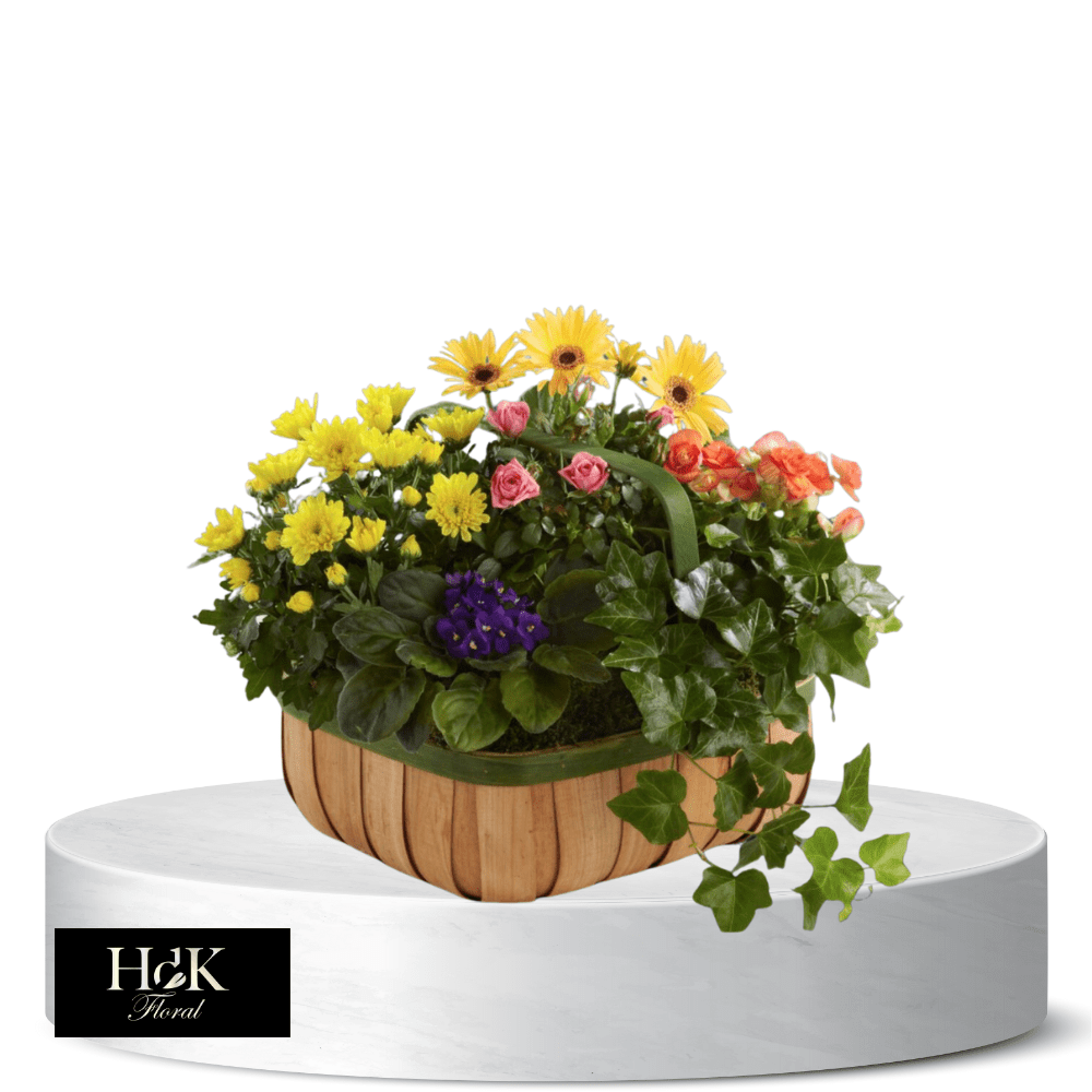 Large Planter Basket